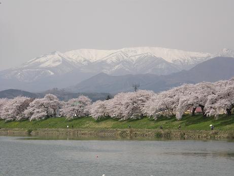 c0145250_10281716.jpg