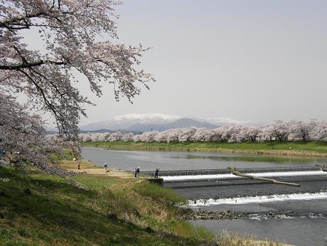 c0145250_10412232.jpg