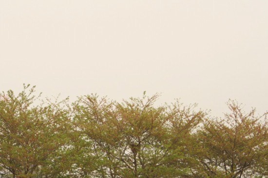 e0126350_0314383.jpg