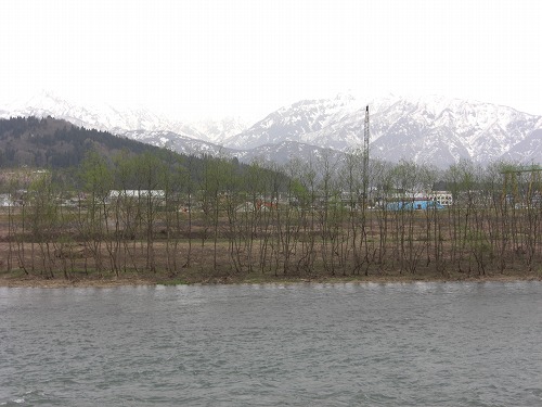 魚野川の春_a0084753_8252687.jpg