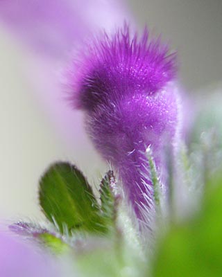 e0035757_18472994.jpg