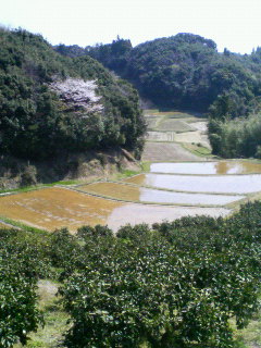 田舎暮らし2_b0034072_10261612.jpg