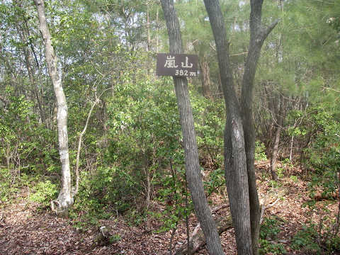 嵐山～松尾山～保津峡～小倉山～嵐山_c0002874_761916.jpg