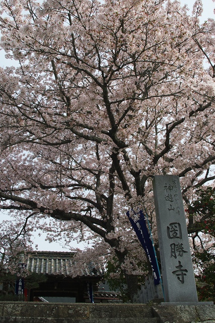 国勝寺_c0135381_2323986.jpg