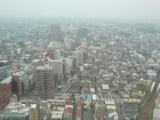 e0035789_05432.jpg