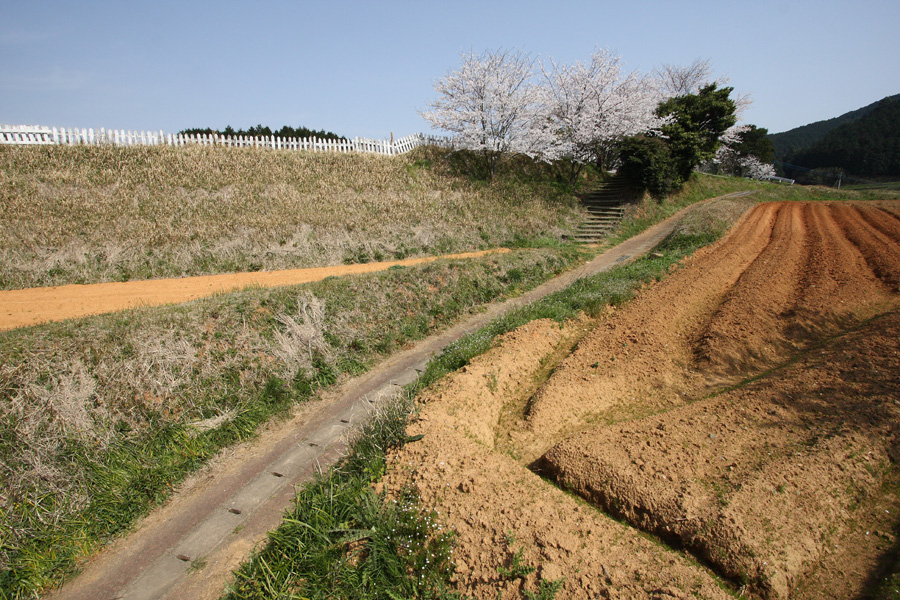 08．04．06：正助ふるさと村の春４_c0007190_1944535.jpg