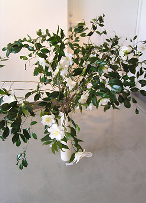 「白と花と器のあいだ」展作品写真_f0106896_1740918.jpg