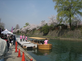 2008年4/6（sun）桜桜桜６_c0077697_14334276.jpg