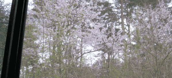 a0101500_21545011.gif