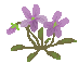 d0080118_9345325.gif