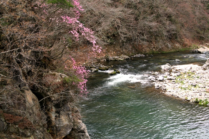 d0012134_1427595.jpg