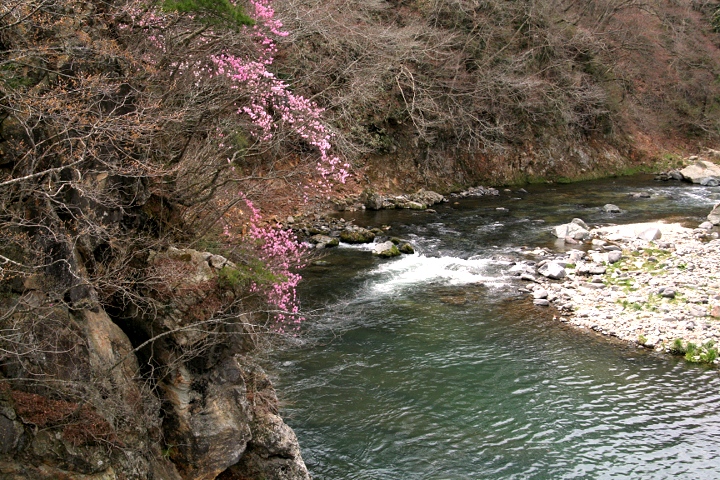 色違い　吉野家　お前もか！_d0012134_1427595.jpg