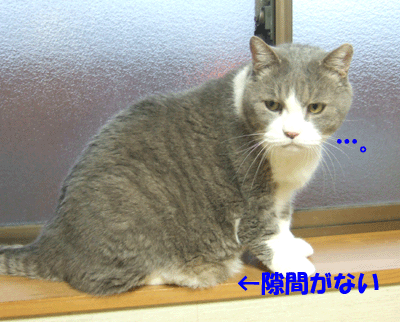 f0008935_16115052.gif