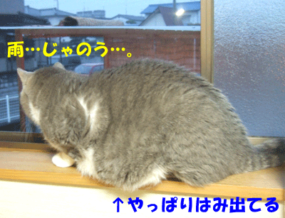f0008935_16122074.gif