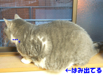 f0008935_1612710.gif