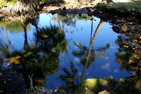 ＊夢か、現実か なんてことは　　Hilo, Hawaii_a0030038_14152280.jpg