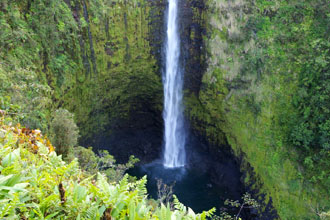 ＊いることが、ありがとう　というだけの　　Honomu, Hawaii_a0030038_1422130.jpg