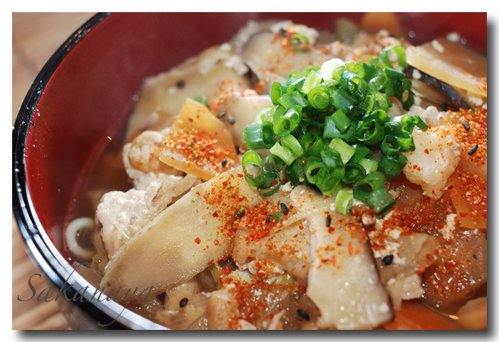 けんちんうどん........... 晩酌の〆に最高！！！☆ 妻料理 ☆_d0069838_10375835.jpg