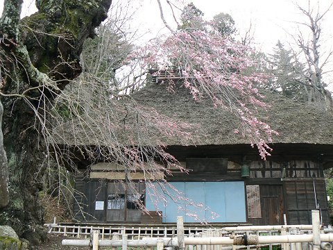 高森愛宕観音堂の桜はニ分咲き_f0019247_23204568.jpg