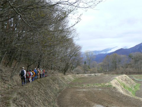 高森愛宕観音堂の桜はニ分咲き_f0019247_23224755.jpg