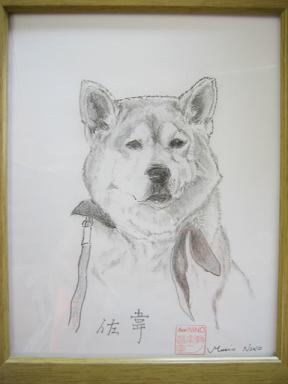 春ですが。。。_c0049950_22284340.jpg