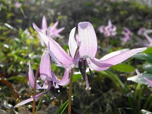 c0145250_9461875.jpg