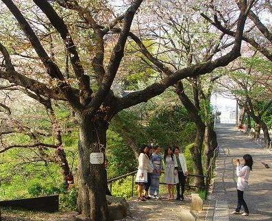 ＜200８年４月６日＞真空管アンプの喫茶店（同級生と過ごす春の日）　_c0119160_21583829.jpg