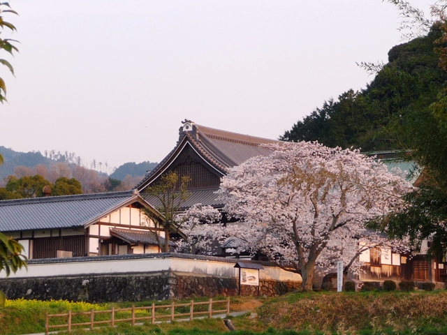 d0042474_0102235.jpg