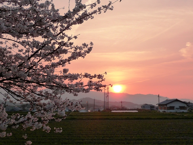 d0042474_0391897.jpg