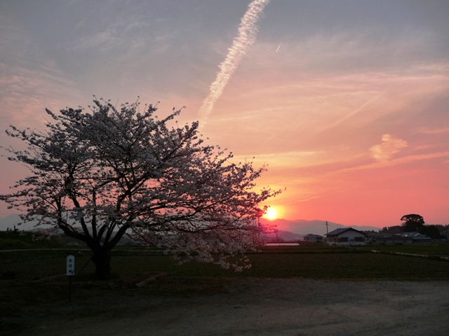 d0042474_0404283.jpg
