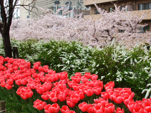 b0125384_0162980.jpg
