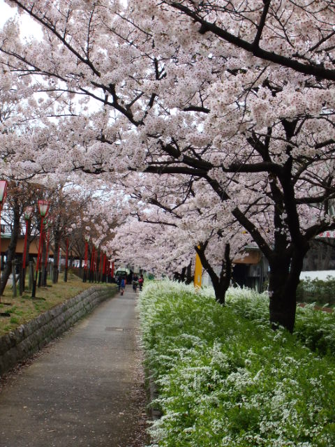 b0125384_0373057.jpg