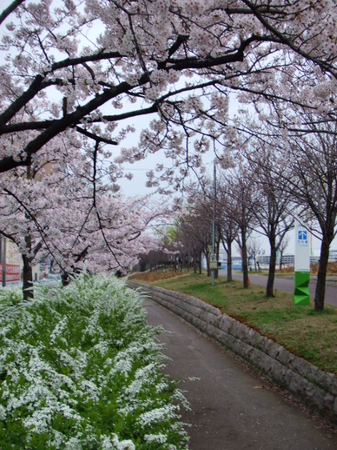 b0125384_1355911.jpg