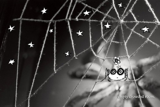 the spider is not amused. :: mailelani_f0089299_17401259.jpg