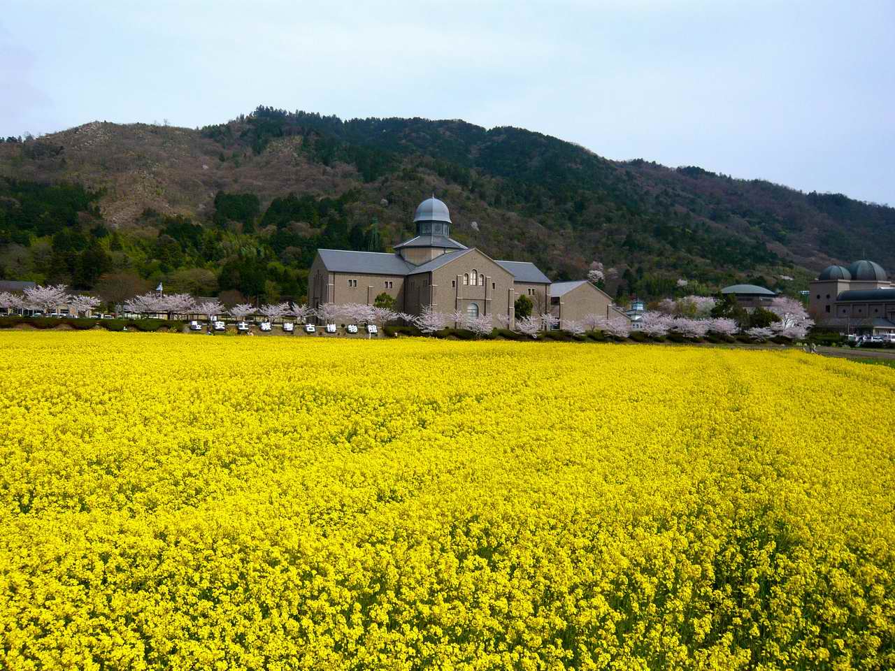 繖山と安土山 山好き的日々 京都北山
