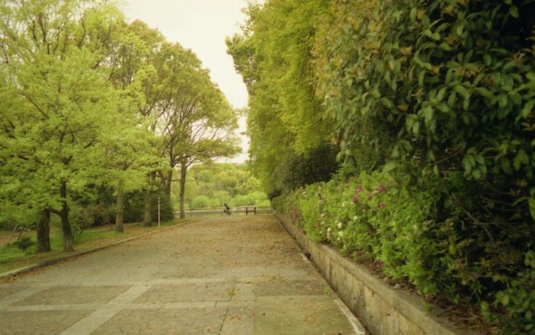 d0071507_1734427.jpg