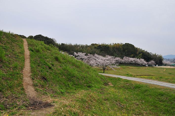 太宰府 市民の森 ことまち写真館 太宰府 市民の森 ことまち写真館