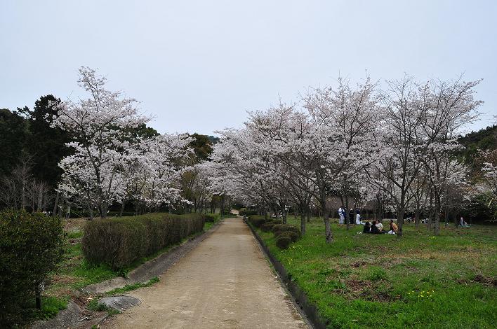 太宰府 市民の森_a0042310_2295183.jpg