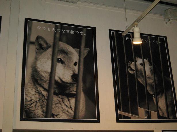 岡山「動物たちのレクイエム展」見学_b0071310_18135082.jpg