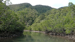 d0019913_2325524.jpg