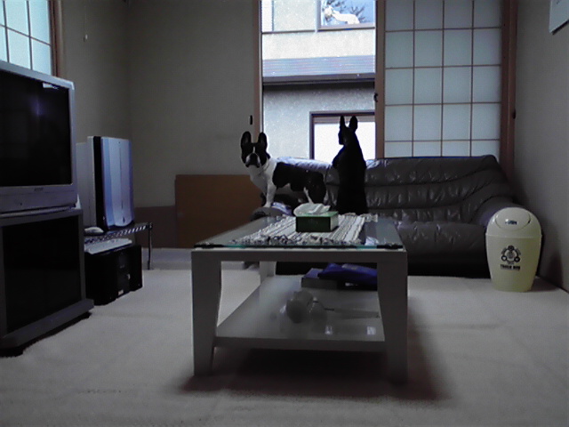 b0076733_20432560.jpg