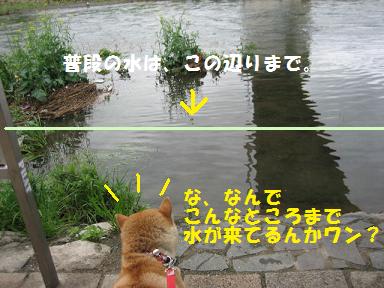 春ですが。。。_c0049950_20422738.jpg