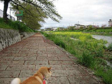 春ですが。。。_c0049950_8434558.jpg