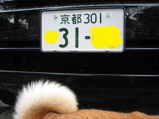 春ですが。。。_c0049950_8475837.jpg
