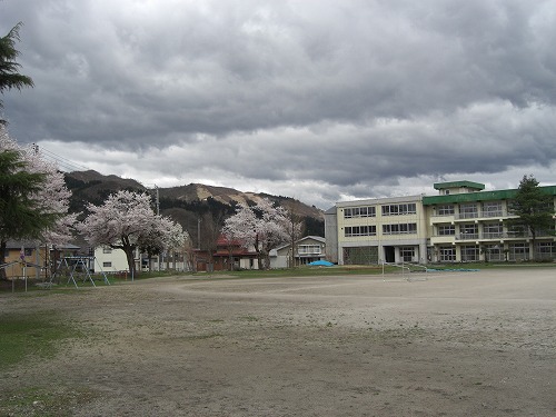 浦佐小学校の校庭の桜_a0084753_11164731.jpg