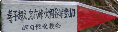 c0108460_20235111.jpg