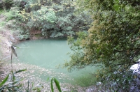 c0108460_20402259.jpg