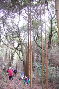 c0108460_20454840.jpg