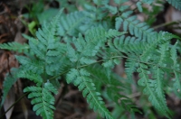 c0108460_20464939.jpg