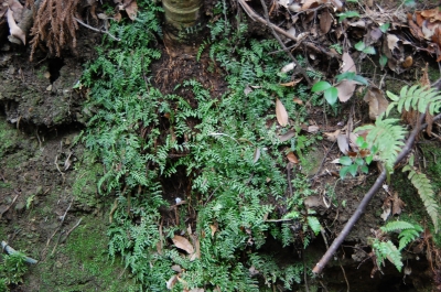 c0108460_20472874.jpg